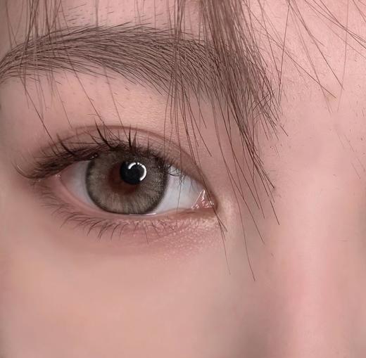 Bebebest品牌日抛线-Cotton brown（10p/盒）//有同名年抛款 商品图3