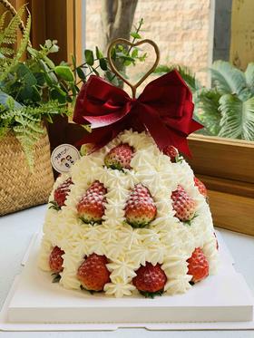 圣诞节水果塔奶油蛋糕 下单前请仔细阅读商品详情
