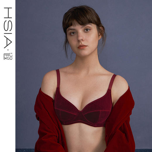 HSIA遐大胸显小内衣女珠光丝绒normcore全罩杯复古有钢圈上托文胸 商品图0