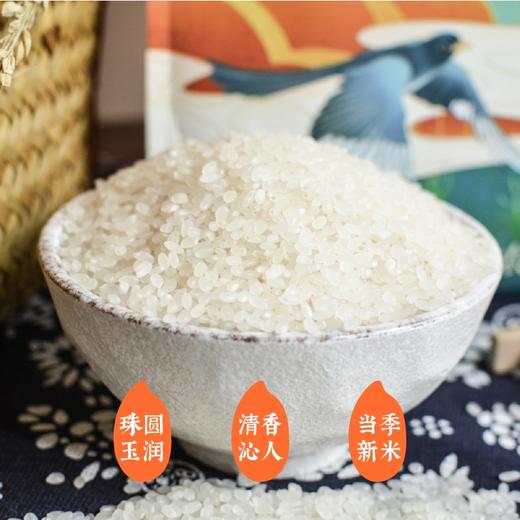 袁隆平大米东北寒地香5kg 商品图3