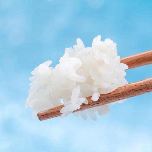 袁隆平大米楚香金稻 5kg （虾稻米） 商品图1