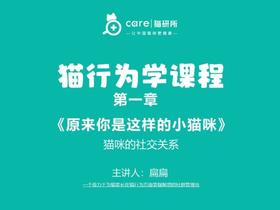 第二课《猫咪的社交关系》