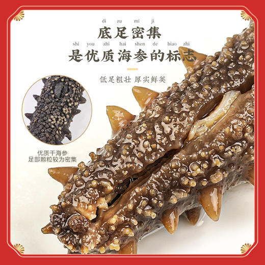 福东海 福礼礼盒 干海参120g 商品图3