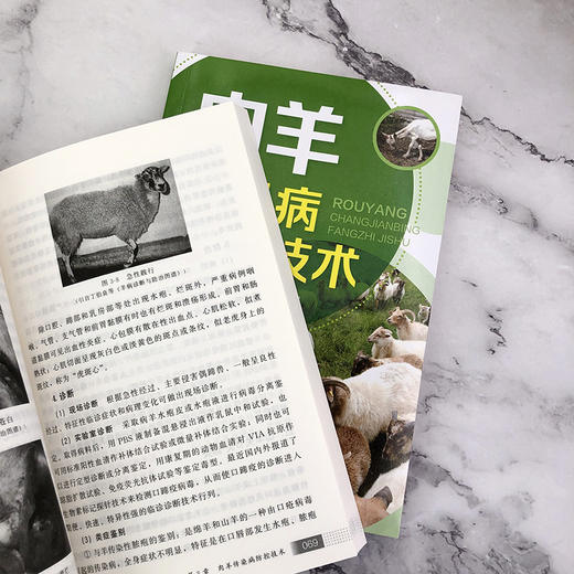 肉羊常见病防治技术 商品图6