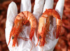 斑节虾 虾干大号特大竹节虾即食500g斑节虾对干虾烤虾海鲜干货 商品缩略图3