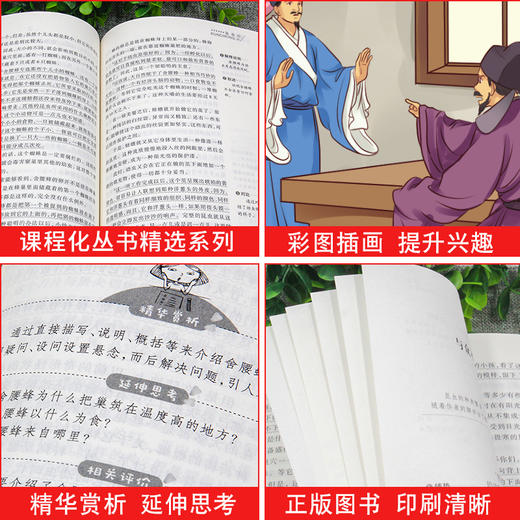 爱阅读 快乐读书吧全2册任选 九年级下儒林外史+简爱 无障碍阅读导读版 9年级初中生课外书籍青少年版经典中学生课外读物原著 商品图3