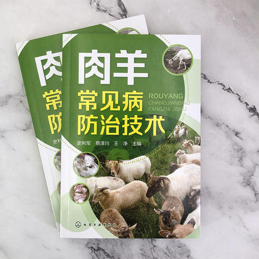 肉羊常见病防治技术 商品图1