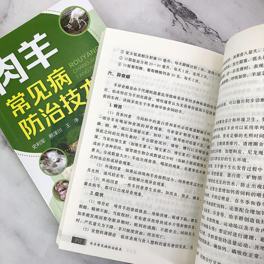 肉羊常见病防治技术 商品图9
