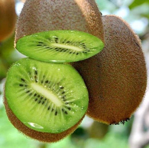 【西沟乡大杉树合作社】新鲜绿心猕猴桃礼盒装 商品图2