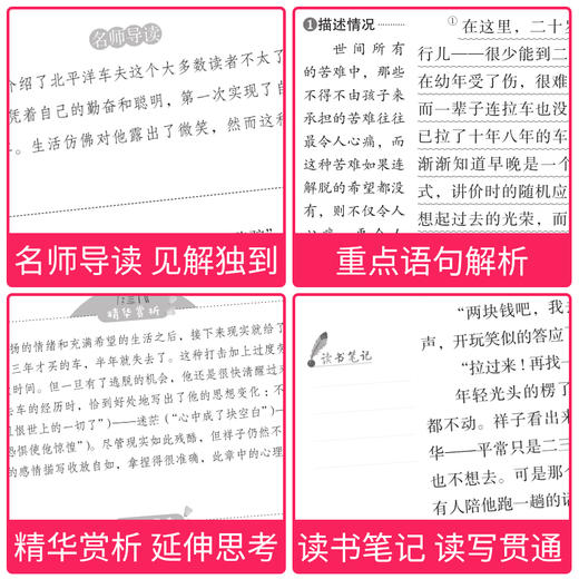 爱阅读 快乐读书吧全2册任选 七年级下骆驼祥子海底两万里 无障碍阅读导读版 7年级初中生课外书籍青少年版经典中学生课外读物原著 商品图3