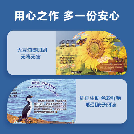 【新版/老版随机发货】洪恩儿童探索百科综合卷（精装）  让科普变得有声有色 1册装（支持洪恩818点读笔点读）限时秒杀 商品图4