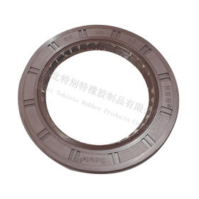 特别特天龙贯通轴66*96*10天龙输出油封66x96x10（669610）