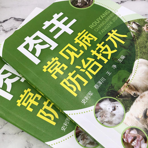 肉羊常见病防治技术 商品图2