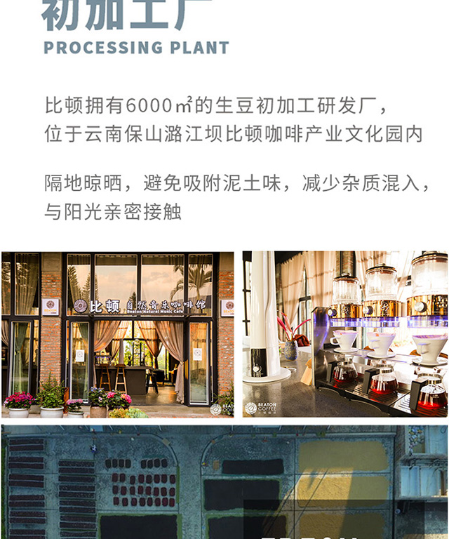 瑰夏咖啡 精品烘焙咖啡豆 现磨手冲咖啡geisha咖啡250g/罐