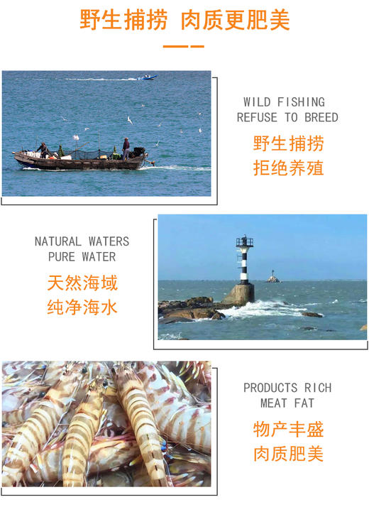 斑节虾 虾干大号特大竹节虾即食500g斑节虾对干虾烤虾海鲜干货 商品图2