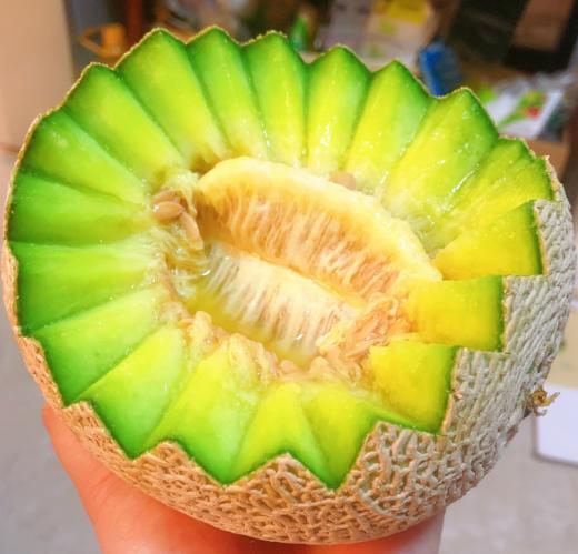 海南玫珑蜜瓜 5.5斤（2粒） 商品图3