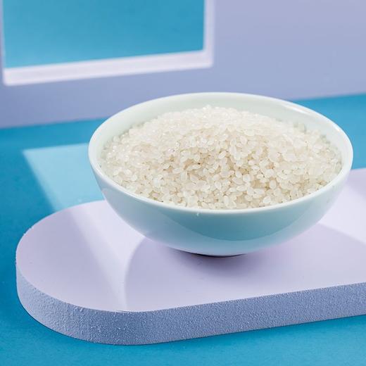 袁隆平辽河金香大米5KG 商品图2