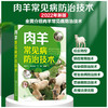 肉羊常见病防治技术 商品缩略图0