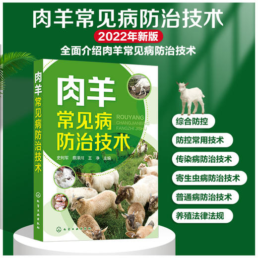 肉羊常见病防治技术 商品图0