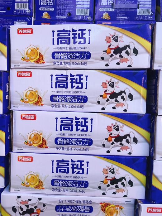 养智露高钙核桃奶一箱（拼团） 商品图0