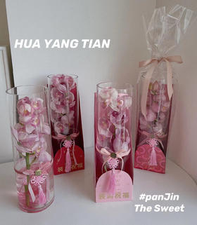 蕙兰瓶 · 瓶插花  含花瓶