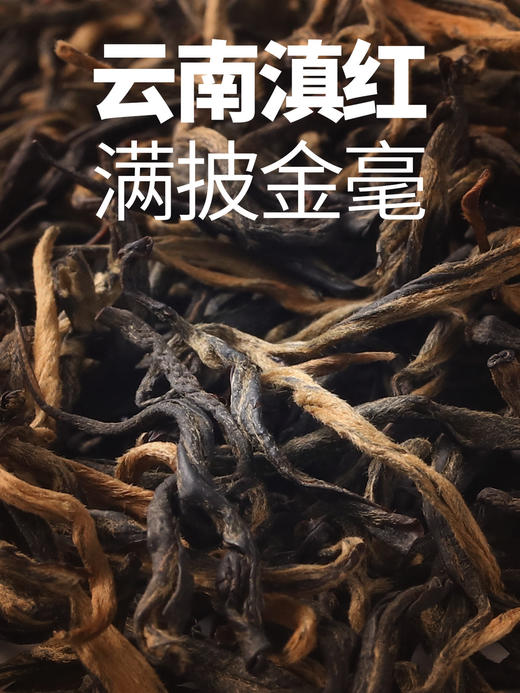 森晒 新会小青柑红茶铁罐装	110g 商品图5