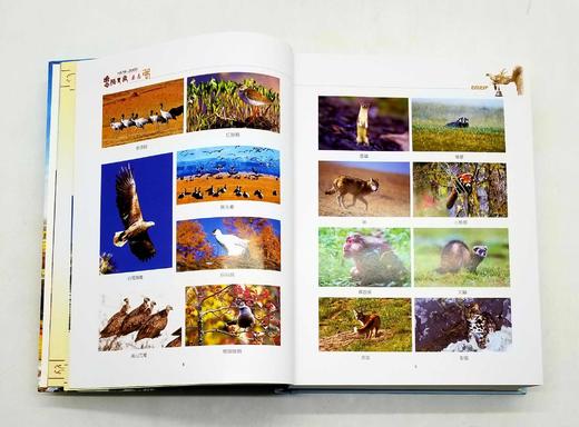 《香格里拉县志（1978-2005）》，精装，16开，云南人民出版社2006年版，938页，定价598，售价238元。 商品图7