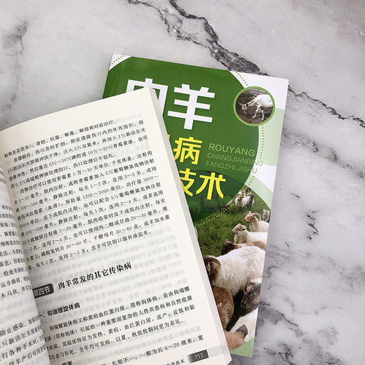 肉羊常见病防治技术 商品图4