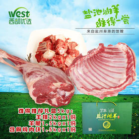 宁夏盐池特产 难得推荐羊礼盒 5kg（羊腿1.5kg，羊排2kg，炖肉块1.5kg）