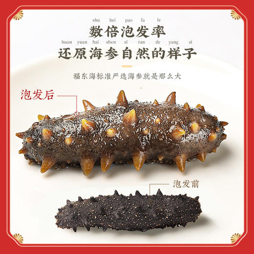 福东海 福礼礼盒 干海参120g 商品图4