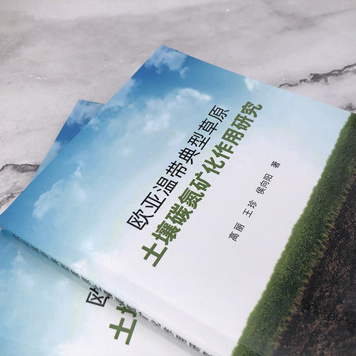 欧亚温带典型草原土壤碳氮矿化作用研究 商品图2