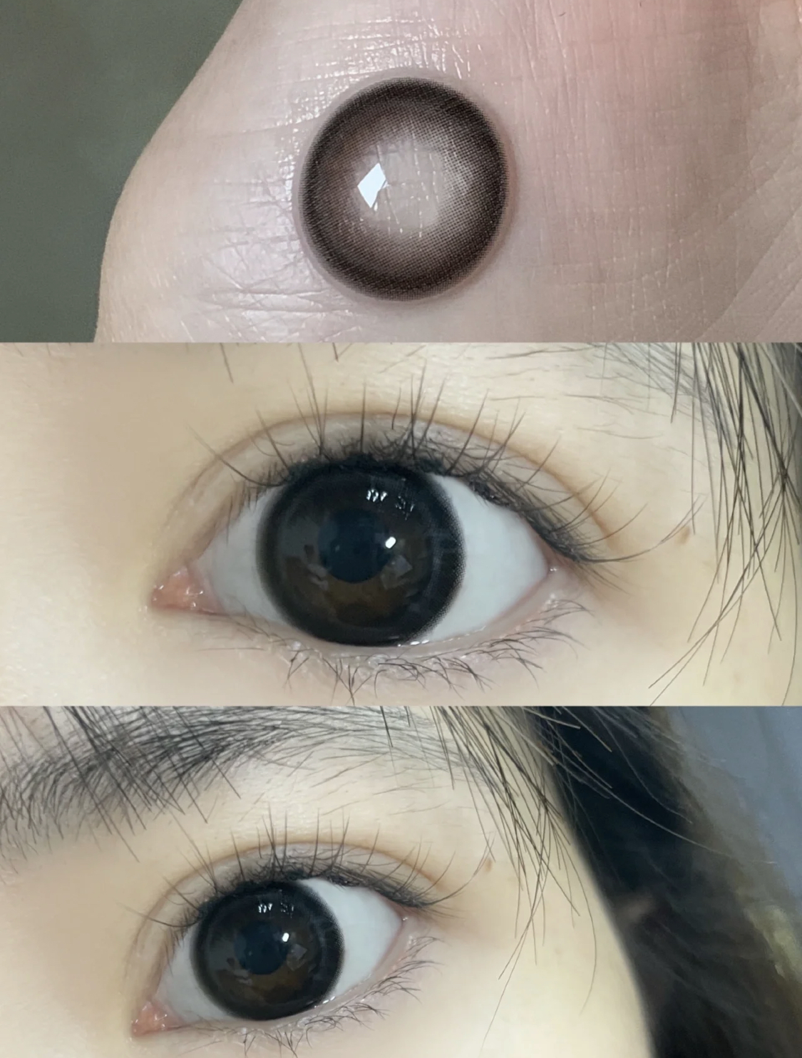 大直径黑瞳丨双高光黑·Clairecolor丨14.5mm（年抛/2片装）