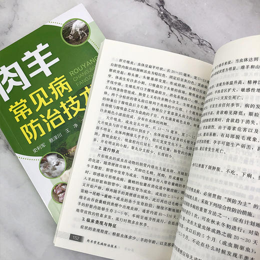肉羊常见病防治技术 商品图7
