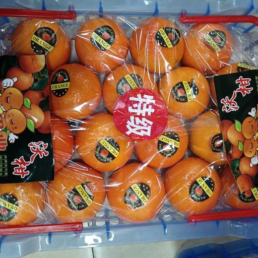 神龙沃柑礼盒 商品图0