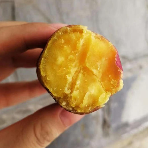 海南小香薯 商品图2