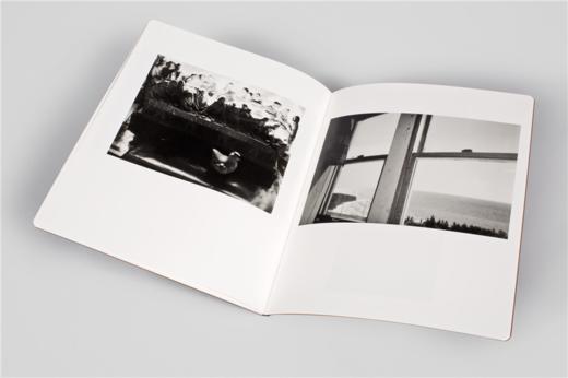 【预订】Robert Frank: What we have seen，罗伯特·弗兰克：我们所见 商品图4