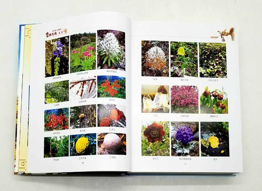 《香格里拉县志（1978-2005）》，精装，16开，云南人民出版社2006年版，938页，定价598，售价238元。 商品图8