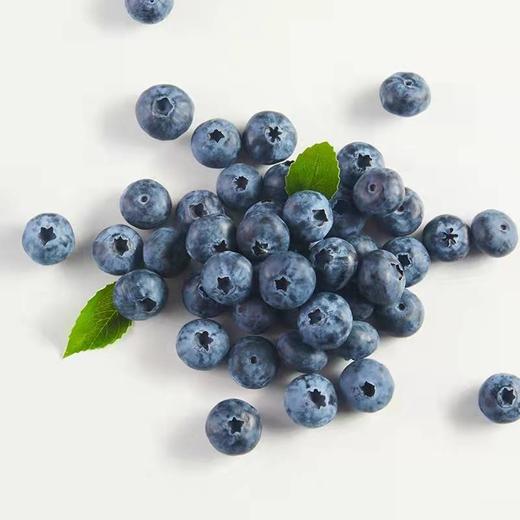 活动款4盒送2盒【智利蓝莓】 125g/盒 商品图1
