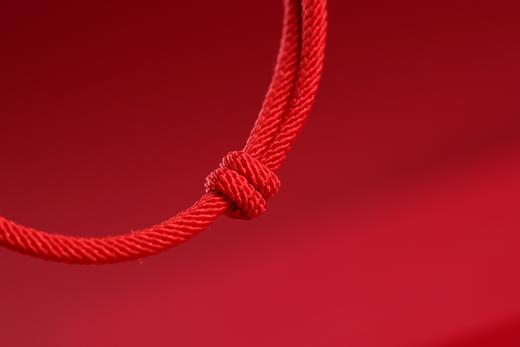 XYZT0378°紫檀镶银转运虎手链 商品图5