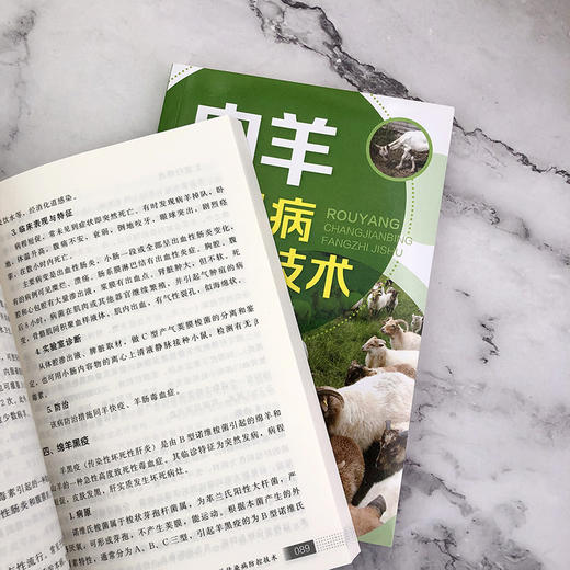 肉羊常见病防治技术 商品图5
