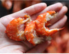 斑节虾 虾干大号特大竹节虾即食500g斑节虾对干虾烤虾海鲜干货 商品缩略图5