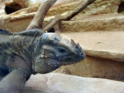 10大萌宠主题区域畅玩,科普知识,寓教于乐