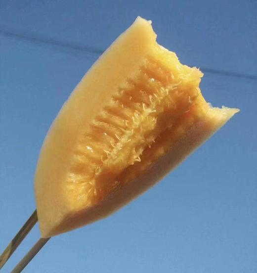 海南·丝路晓蜜2个（单个2-3斤） 商品图0