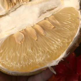 梅州·沙田柚4个装9-10斤净重