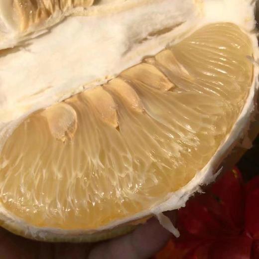 梅州·沙田柚4个装9-10斤净重 商品图0