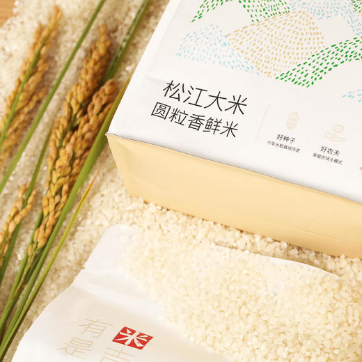 2025松江大米新米上市！松香粳1018圆粒香米 商品图2
