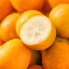 【年货节】【融安金桔】金桔界天花板来自广西融安核心产区|不酸麻、不苦涩，脆甜水嫩只采摘甜度大于20度的精品大果,净重约5斤 商品缩略图5