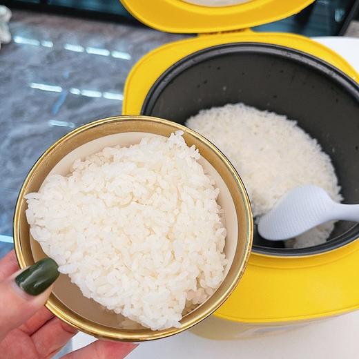 【现货发】G.DUCK小黄鸭电饭煲3-4人电饭锅家用多功能电器小家电工厂直发 商品图2