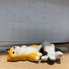 HUJI祤集筷架睡觉小柴 商品缩略图0