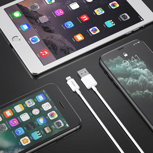 品胜 苹果数据线 手机ipad充电线 兼容iOS全系列 2.4A快速充电 多种长度可选 商品图7